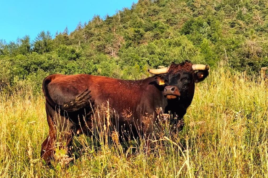 Appartamento Di Montagna Lo Grop Chambave 外观 照片