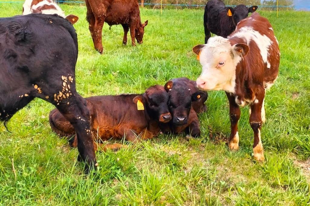 Appartamento Di Montagna Lo Grop Chambave 外观 照片